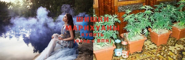 скорость Белокуриха