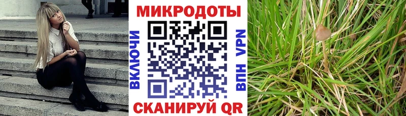 мега ССЫЛКА  Шагонар  Псилоцибиновые грибы Magic Shrooms 